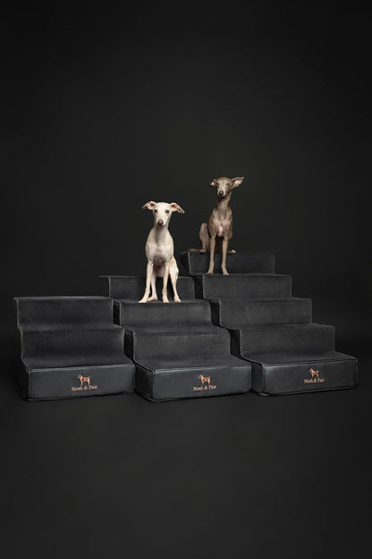 Noah & Paw Dog Stairs, Dog Ramp for Bed (20" Extra Wide) Pet Stairs for High Bed, Design to Fit Small and Large Breeds, Durable 5 Pet Steps for Couch (35 Foam Density) Leather Collection