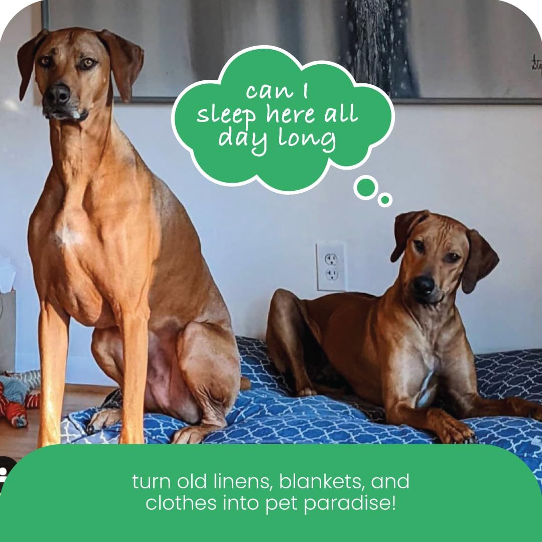 Molly Mutt Medium to Large Dog Bed Cover- Forever Young Print - Measures 27”X36”X5’’ - 100% Cotton - Durable - Breathable - Sustainable - Machine Washable Dog Bed Cover (Dd82b)