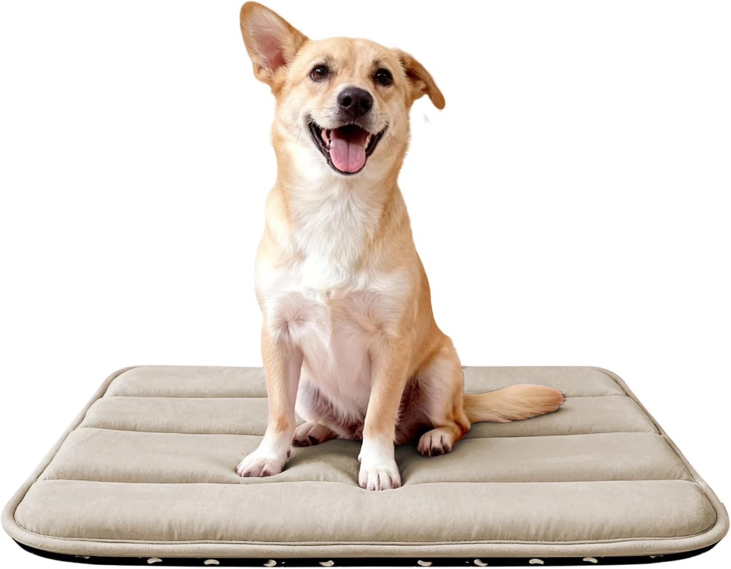 Dog Bed Mat, Reversible Crate Pad & Cute Dog Bed - Machine Washable Kennel Mat with Ultra Soft for Small Dogs (Cool/Warm), 24" x 18", Grey&Star