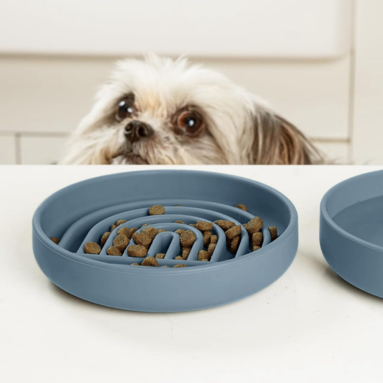 Should We Go? Slow Feeder for Dogs & Puppies, The Slowdown Bowl Silicone Slow Eating, Modern Lick Mat Design, Reduces Gulping, Fits 2 Cups, 7.5” Across x 1.5” Tall, Mealtime Challenge, Medium-Blush