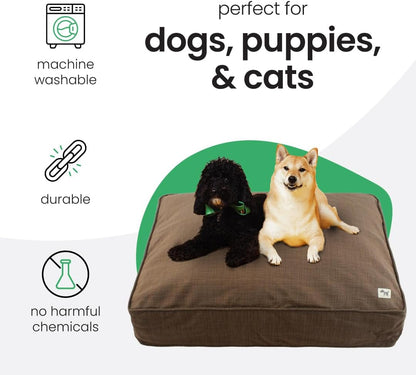 Molly Mutt Medium to Large Dog Bed Cover- Forever Young Print - Measures 27”X36”X5’’ - 100% Cotton - Durable - Breathable - Sustainable - Machine Washable Dog Bed Cover (Dd82b)