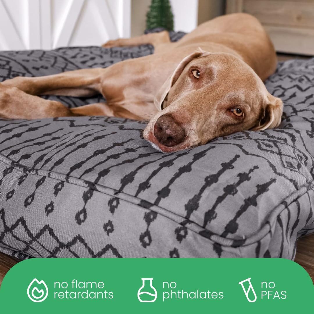 Molly Mutt Medium to Large Dog Bed Cover- Forever Young Print - Measures 27”X36”X5’’ - 100% Cotton - Durable - Breathable - Sustainable - Machine Washable Dog Bed Cover (Dd82b)