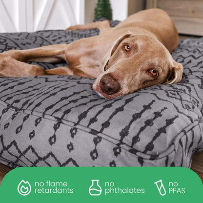 Molly Mutt Medium to Large Dog Bed Cover- Forever Young Print - Measures 27”X36”X5’’ - 100% Cotton - Durable - Breathable - Sustainable - Machine Washable Dog Bed Cover (Dd82b)