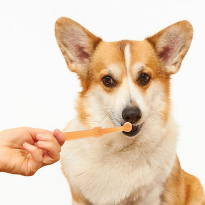 1Set Silicone Toothbrush for Cats and Dogs Double-Headed Pet Toothbrush Kit Soft Material for Gentle Cleaning for Small Dogs and Puppies Promotes Oral Health