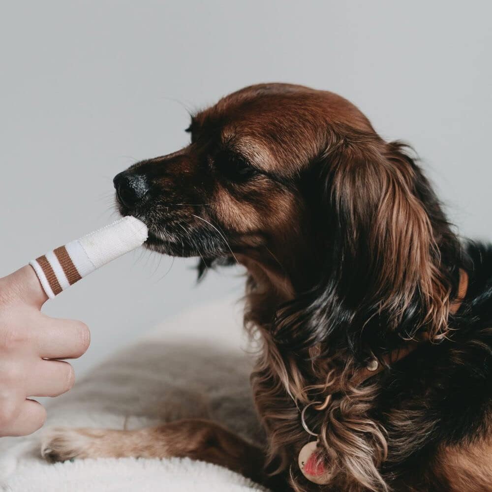 LILA LOVES IT Toothbrush for Dogs - Practical Dental Micro Fleece Made of Micro-Fleece, Dental Care for Dogs, Gentle on Gums, Dental Micro Fleece