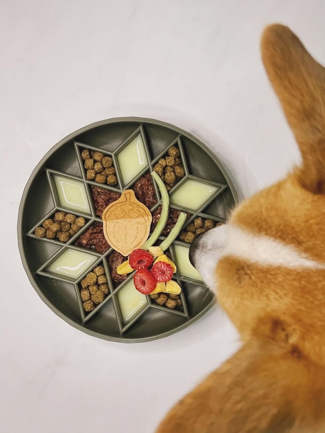 OHMO Slow Feeder Dog& Cat Bowl, Silicone Puppy Cat Food Bowl with Anti-Slip Suction Cup Slow Down Small Dogs Eating, Anti Choking (S-Tree of Life,Sage Green)
