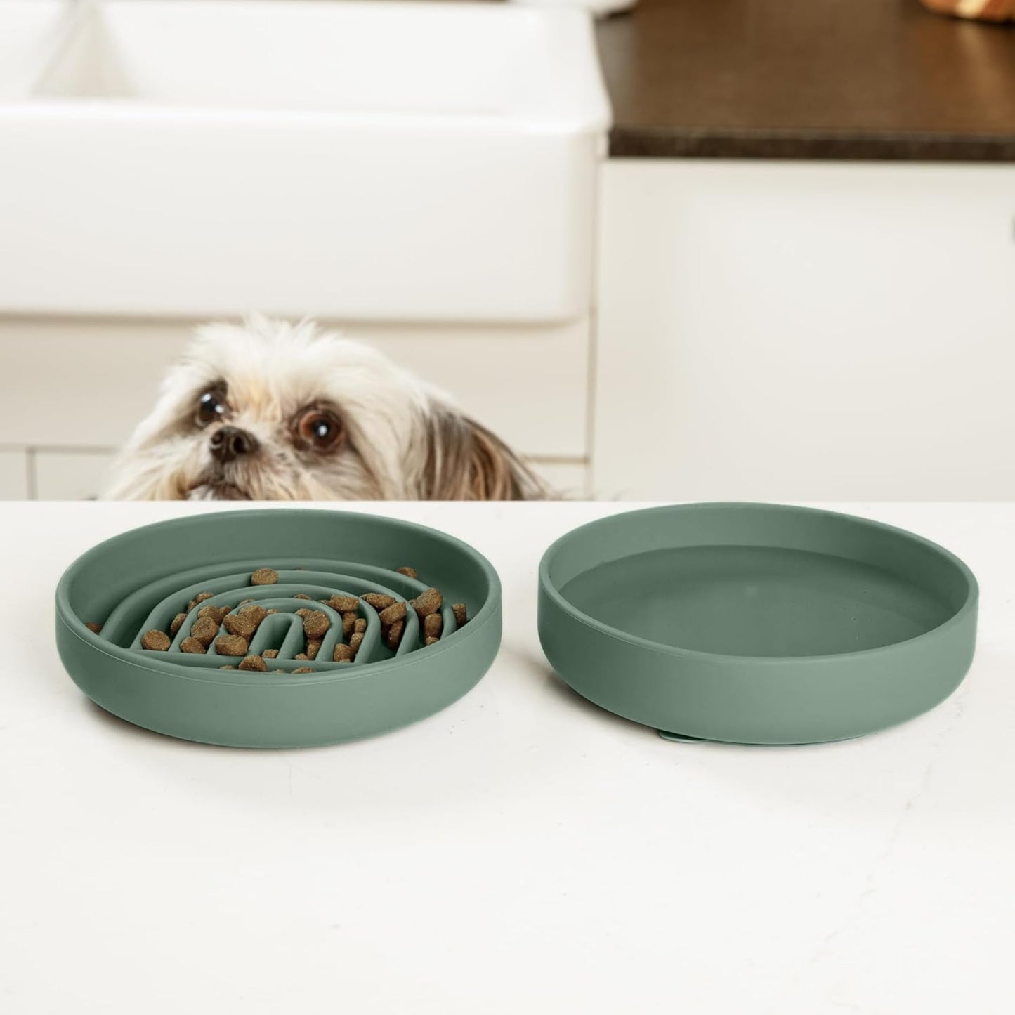 Should We Go? Slow Feeder for Dogs & Puppies, The Slowdown Bowl Silicone Slow Eating, Modern Lick Mat Design, Reduces Gulping, Fits 2 Cups, 7.5” Across x 1.5” Tall, Mealtime Challenge, Medium-Blush