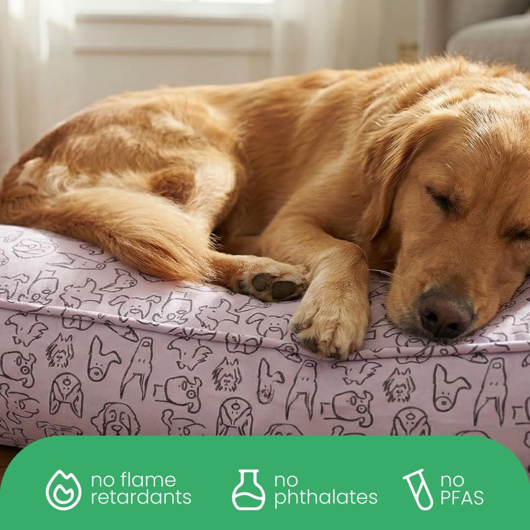 Molly Mutt Medium to Large Dog Bed Cover- Forever Young Print - Measures 27”X36”X5’’ - 100% Cotton - Durable - Breathable - Sustainable - Machine Washable Dog Bed Cover (Dd82b)