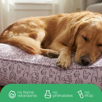Molly Mutt Medium to Large Dog Bed Cover- Forever Young Print - Measures 27”X36”X5’’ - 100% Cotton - Durable - Breathable - Sustainable - Machine Washable Dog Bed Cover (Dd82b)