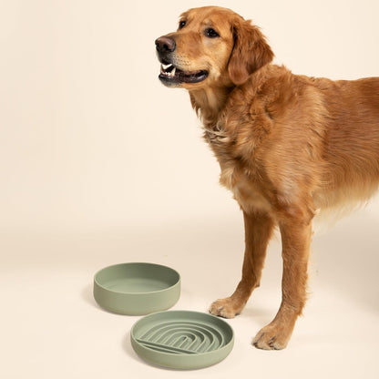 Should We Go? Dog Water Bowl - The Perfect Dish No-Spill, Less Mess Non-Tippable Water & Food Bowl, Pure Silicone with Suction Cup Fits 5 Cups 7.5" Across x 2.25" Tall, Ideal for All Pets, Medium-Sage