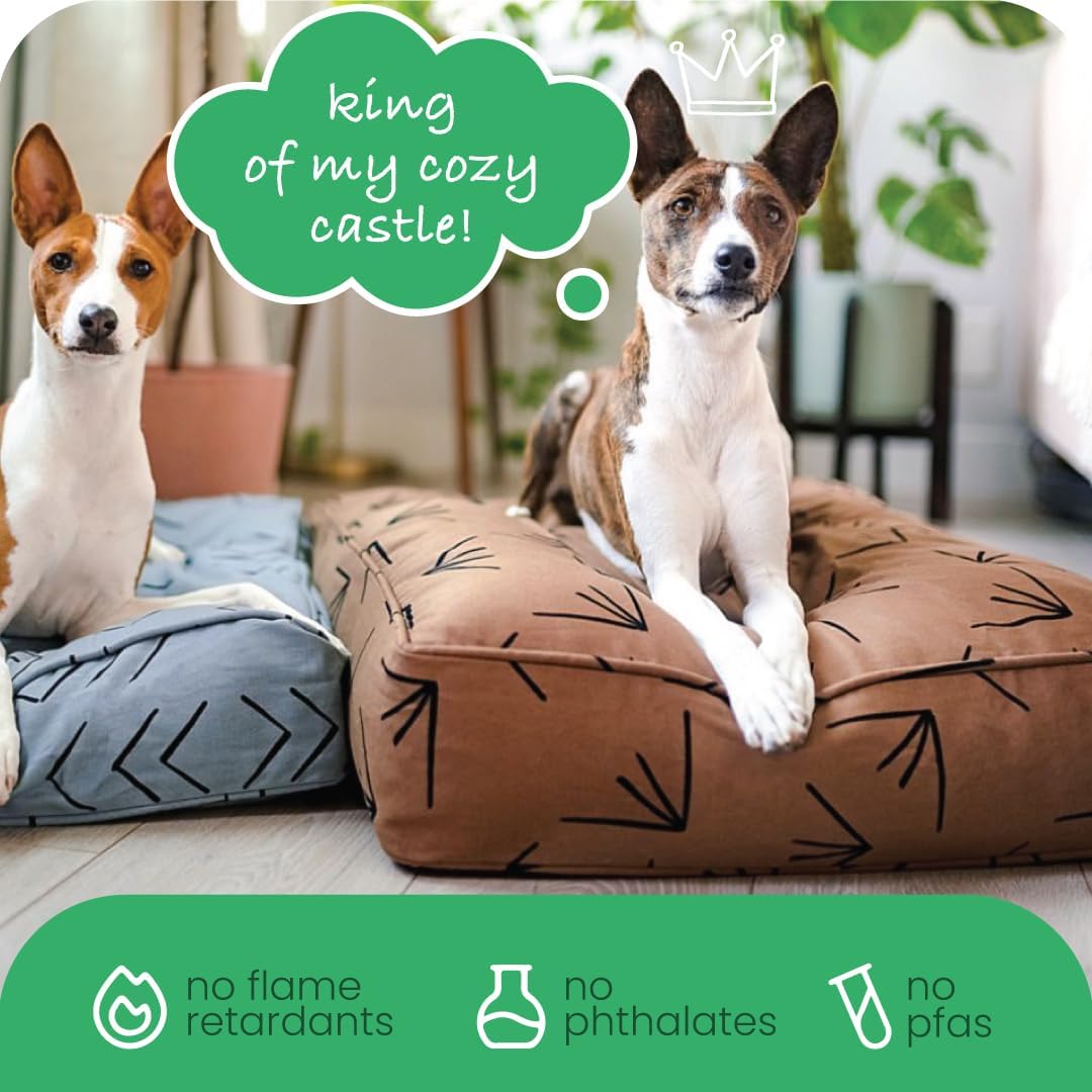 Molly Mutt Medium to Large Dog Bed Cover- Forever Young Print - Measures 27”X36”X5’’ - 100% Cotton - Durable - Breathable - Sustainable - Machine Washable Dog Bed Cover (Dd82b)