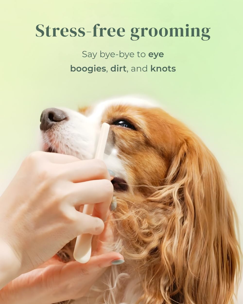 [petora] BRUSH ON ME Gentle Facial & Eye Comb for Dogs & Cats | Smooth & Stress-Free Tear Stain Remover | Fine-Tooth Grooming Tool with Rounded Tips | Comfortable Grip for Daily Pet Grooming