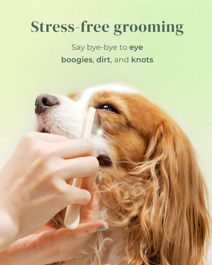 [petora] BRUSH ON ME Gentle Facial & Eye Comb for Dogs & Cats | Smooth & Stress-Free Tear Stain Remover | Fine-Tooth Grooming Tool with Rounded Tips | Comfortable Grip for Daily Pet Grooming