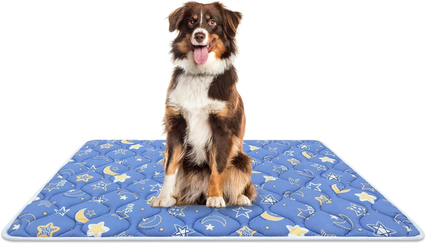 Bubble bear Dog Crate Mat - Ultra Soft, Washable & Anti-Slip Kennel Pad for Small/Medium/Large Dogs, Dark-Hued to Hide Stains (48"x30")