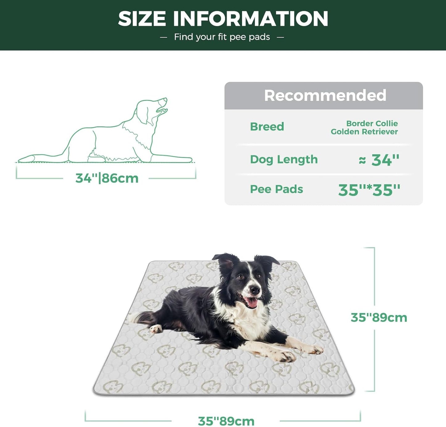 FXW Washable Pee Pads for Dogs, Puppy Pads with Super Absorbent, Specifically Designed for FXW Rollick/Homeplus 24inch 6 Panels Dog Playpen, 39" x 63" Rectangle, Khaki, 1 Pack