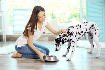 Van Ness Pets Large Non Tip Stainless Steel Dog Bowl, 64 OZ Food And Water Dish, Wide Base Prevents Spills