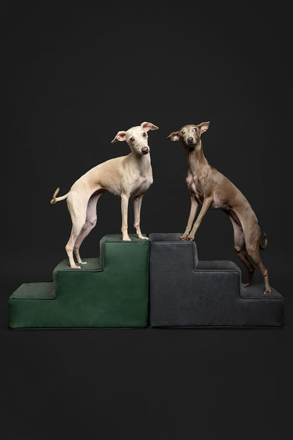 Noah & Paw Dog Stairs, Dog Ramp for Bed (20" Extra Wide) Pet Stairs for High Bed, Design to Fit Small and Large Breeds, Durable 5 Pet Steps for Couch (35 Foam Density) Leather Collection