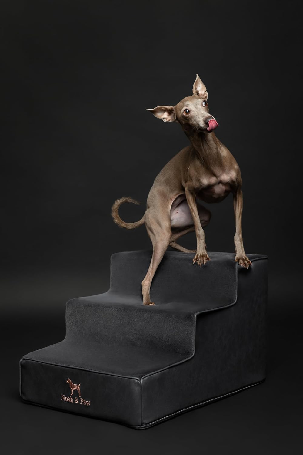 Noah & Paw Dog Stairs, Dog Ramp for Bed (20" Extra Wide) Pet Stairs for High Bed, Design to Fit Small and Large Breeds, Durable 5 Pet Steps for Couch (35 Foam Density) Leather Collection
