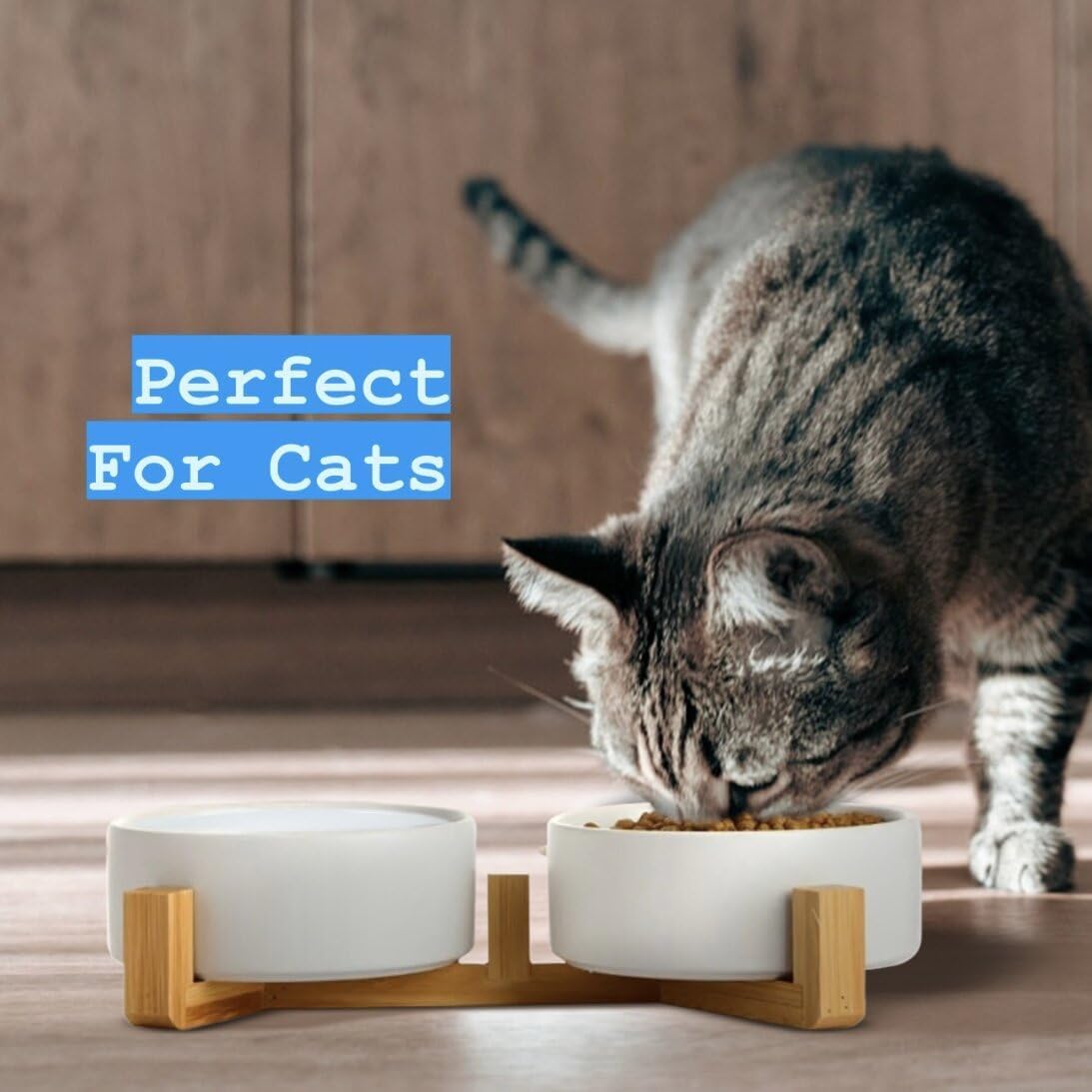 Ceramic Cat and Small Dog Bowl Set – Modern Indoor Small Size Pet Food and Water Bowls with Wood Stand – Non Slip Puppy Sized Feeding Station with Double Dishes (Gray)