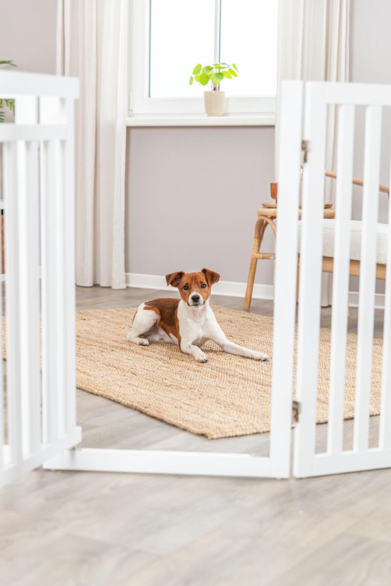 Trixie Freestanding 4-Panel Pet Gate, 31.5-in Tall Foldable Indoor Dog Barrier Fence, 81.2-in Max Width with Walk-Thru-Door, White