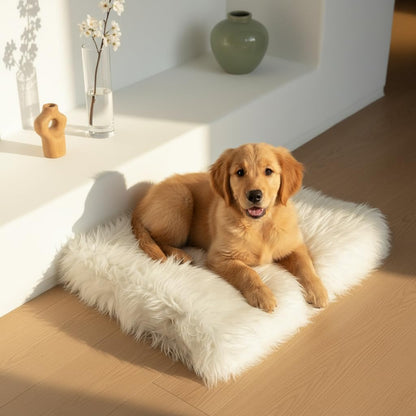 IHAPPYDOG Luxury Faux Fur Orthopedic Dog Bed, Memory Foam Dog Bed for Small, Medium, Large and XL Pets, Fluffy Pet Bed with Waterproof and Washable Cover (White w/Brown Tips, 50"x30")