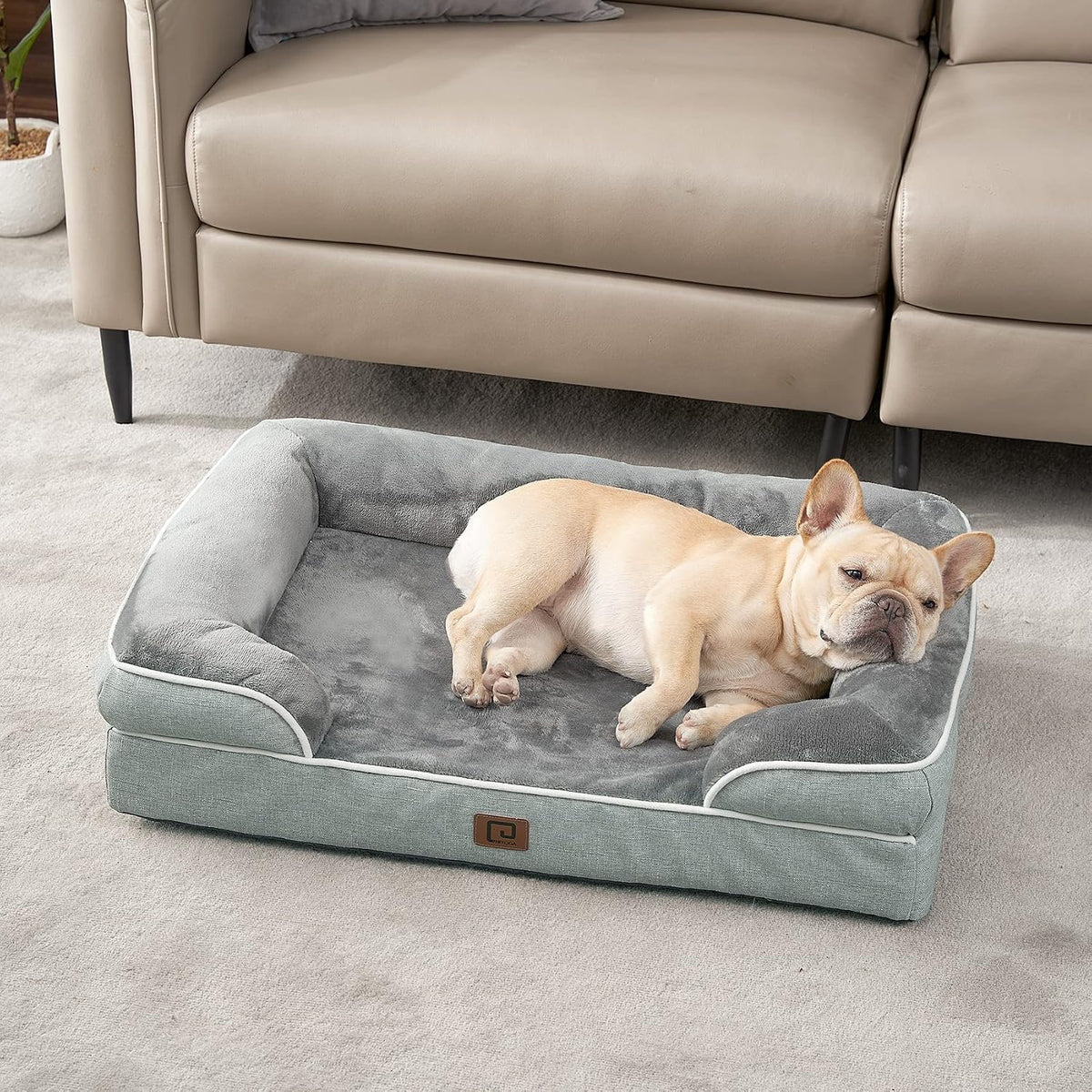 Orthopedic Extra Large Dog Bed, Waterproof Washable XL Pet Bed 44" | Non-Slip Bottom and Egg-Crate Polyurethane Foam Big Dog Couch Bed with Washable Removable Cover, Grey
