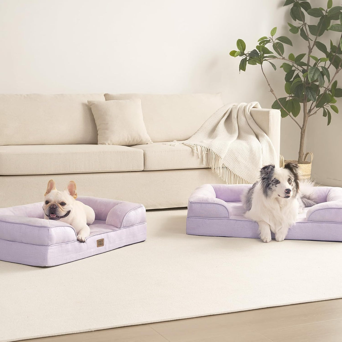 Orthopedic Extra Large Dog Bed, Waterproof Washable XL Pet Bed 44" | Non-Slip Bottom and Egg-Crate Polyurethane Foam Big Dog Couch Bed with Washable Removable Cover, Grey