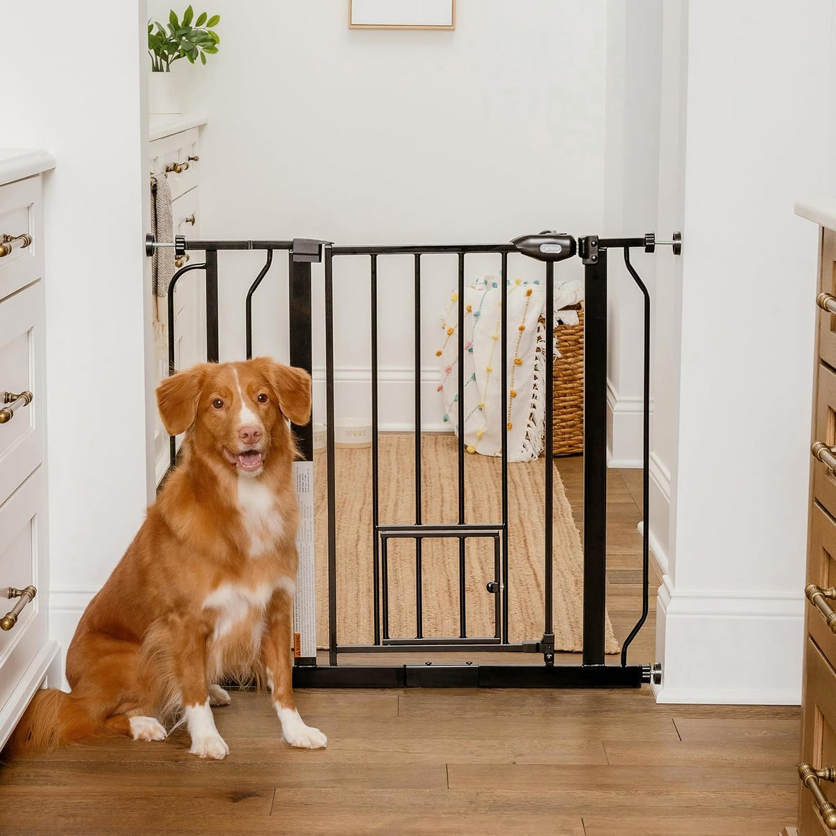 Carlson 29.5–36.5” Extra Wide Dog Gate with Small Pet Door, Walk-Through Pressure Mounted Metal Indoor Pet Safety Gate, Tested and Trusted by Pet Parents, American Designed, American Owned