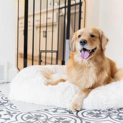 Carlson 29.5–36.5” Extra Wide Dog Gate with Small Pet Door, Walk-Through Pressure Mounted Metal Indoor Pet Safety Gate, Tested and Trusted by Pet Parents, American Designed, American Owned