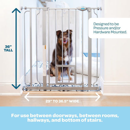 Carlson 29.5–36.5” Extra Wide Dog Gate with Small Pet Door, Walk-Through Pressure Mounted Metal Indoor Pet Safety Gate, Tested and Trusted by Pet Parents, American Designed, American Owned