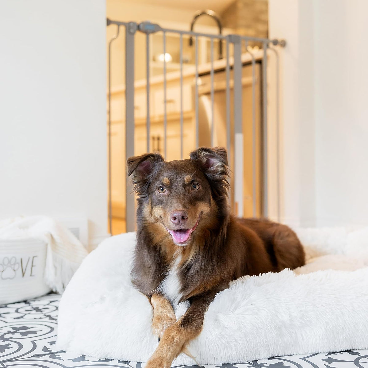 Carlson 29.5–36.5” Extra Wide Dog Gate with Small Pet Door, Walk-Through Pressure Mounted Metal Indoor Pet Safety Gate, Tested and Trusted by Pet Parents, American Designed, American Owned
