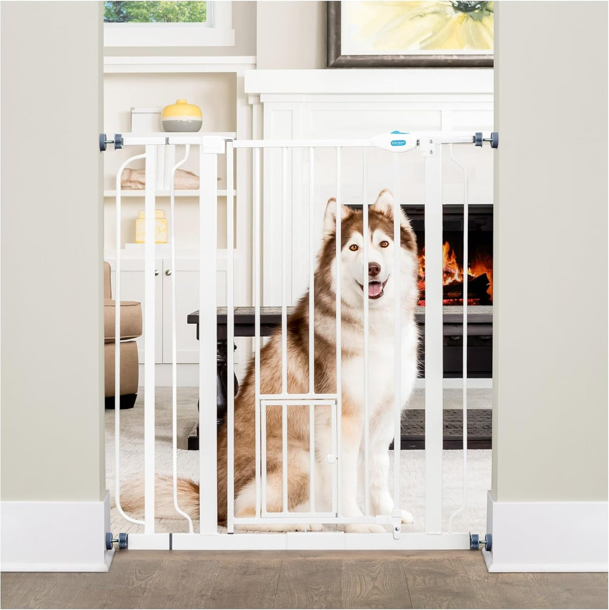Carlson 29.5–36.5” Extra Wide Dog Gate with Small Pet Door, Walk-Through Pressure Mounted Metal Indoor Pet Safety Gate, Tested and Trusted by Pet Parents, American Designed, American Owned