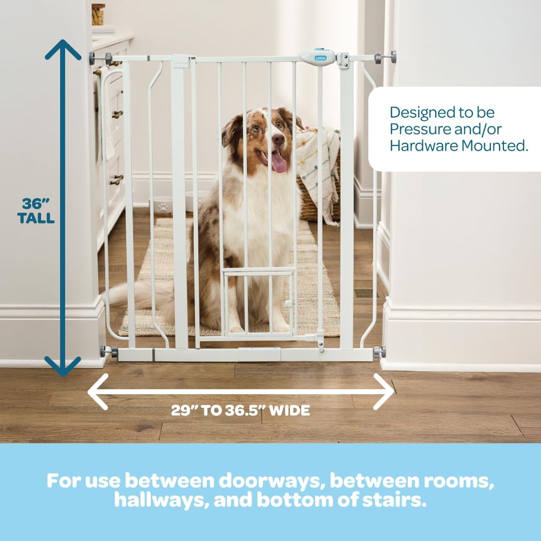 Carlson 29.5–36.5” Extra Wide Dog Gate with Small Pet Door, Walk-Through Pressure Mounted Metal Indoor Pet Safety Gate, Tested and Trusted by Pet Parents, American Designed, American Owned
