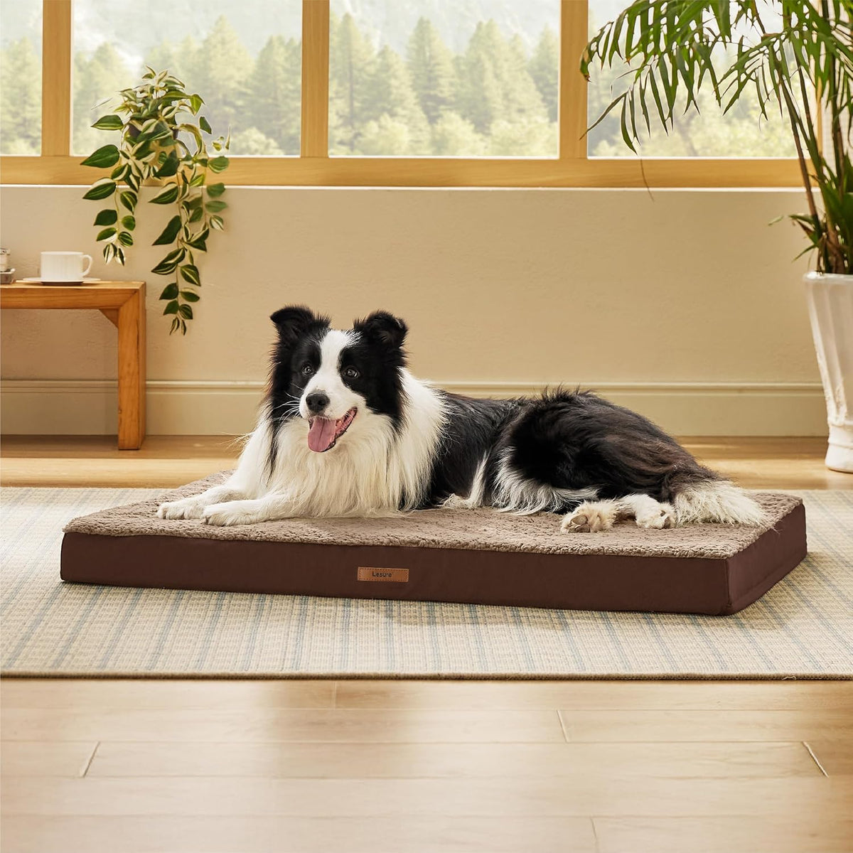 Waterproof Dog Bed Cover Replacement, Large 36x27x3in, Green | 100% Oxford Fabric, For Outdoor and Indoor Use, Machine Washable, Custom Fit for Dog or Cat Pet Mats, Easy Care