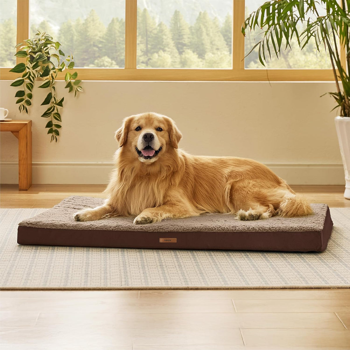 Waterproof Dog Bed Cover Replacement, Large 36x27x3in, Green | 100% Oxford Fabric, For Outdoor and Indoor Use, Machine Washable, Custom Fit for Dog or Cat Pet Mats, Easy Care
