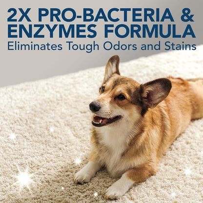 Extreme Stain & Odor Remover, Pee Cleaner, 32oz (Pack of 2)