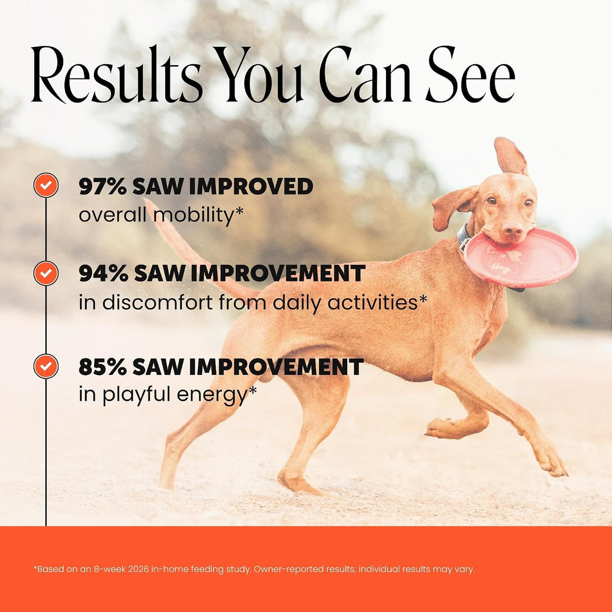 Vet Recommended Hip and Joint Supplement for Dogs