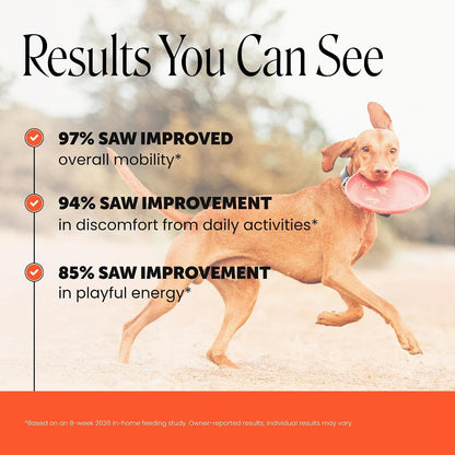 Vet Recommended Hip and Joint Supplement for Dogs