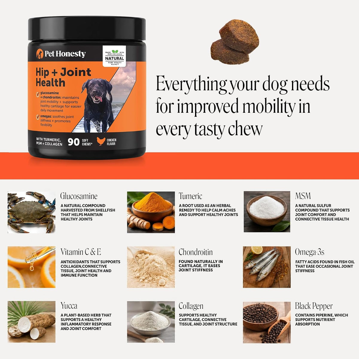 Vet Recommended Hip and Joint Supplement for Dogs