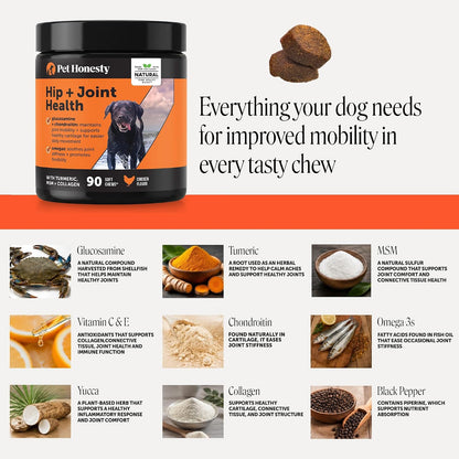 Vet Recommended Hip and Joint Supplement for Dogs