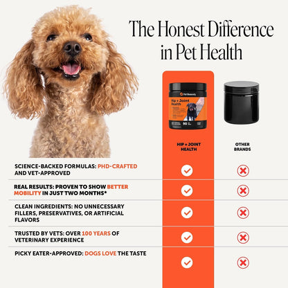 Vet Recommended Hip and Joint Supplement for Dogs