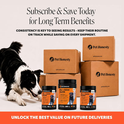 Vet Recommended Hip and Joint Supplement for Dogs
