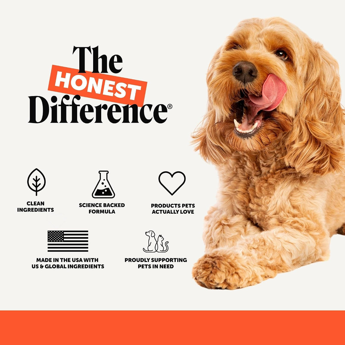 Vet Recommended Hip and Joint Supplement for Dogs