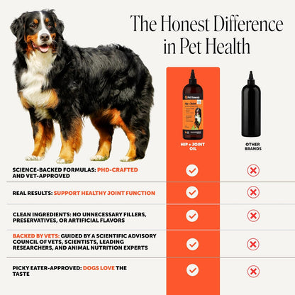 Vet Recommended Hip and Joint Supplement for Dogs