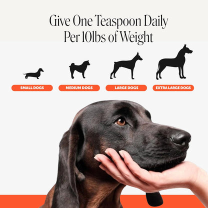 Vet Recommended Hip and Joint Supplement for Dogs