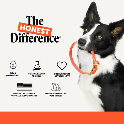 Vet Recommended Hip and Joint Supplement for Dogs
