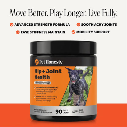 Vet Recommended Hip and Joint Supplement for Dogs