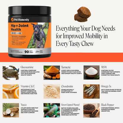 Vet Recommended Hip and Joint Supplement for Dogs