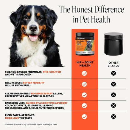 Vet Recommended Hip and Joint Supplement for Dogs