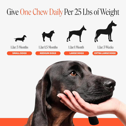 Vet Recommended Hip and Joint Supplement for Dogs